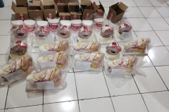alat-peraga-gigi