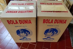 bola-dunia