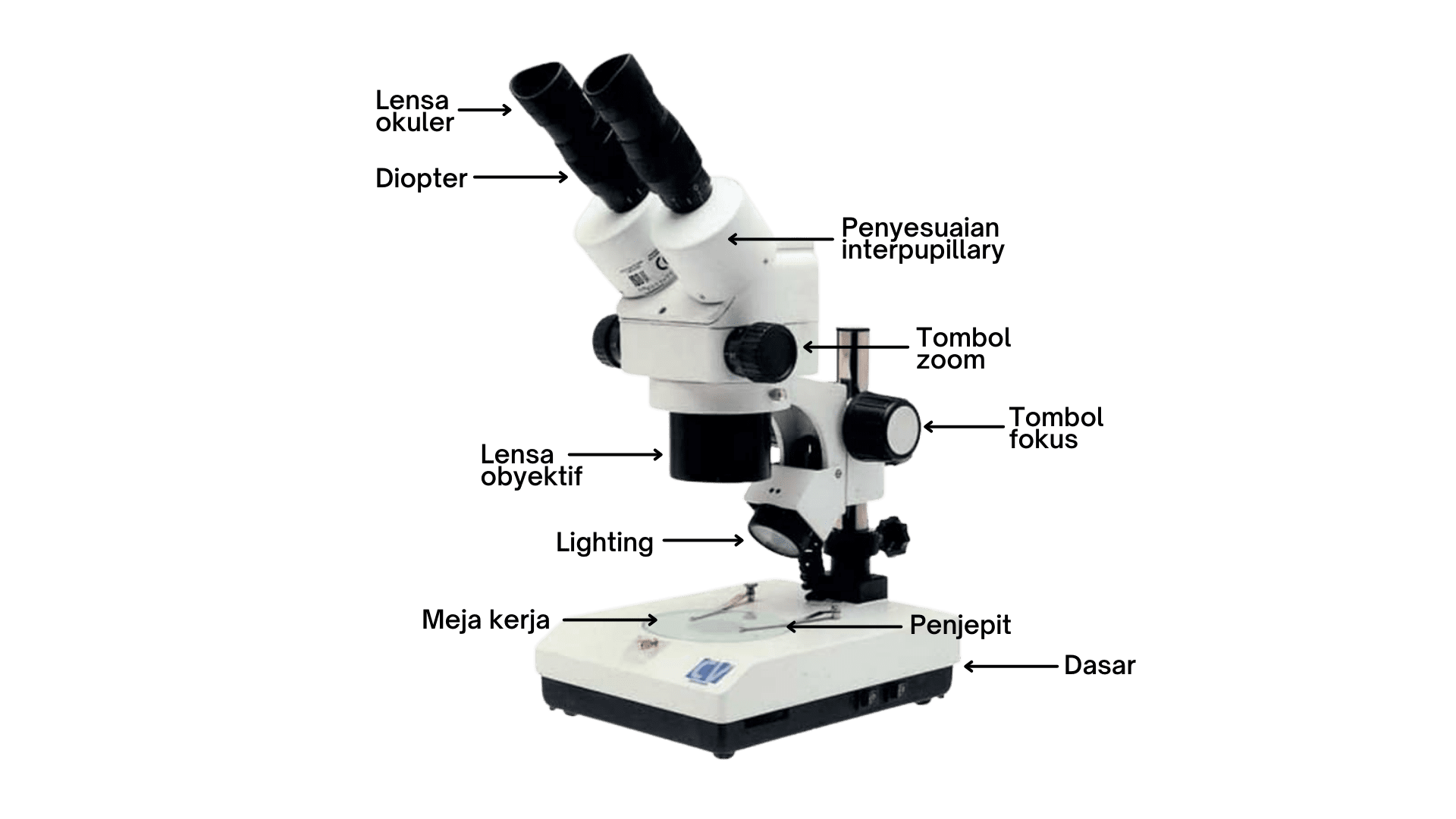 Mikroskop untuk Laboratorium - Image 2