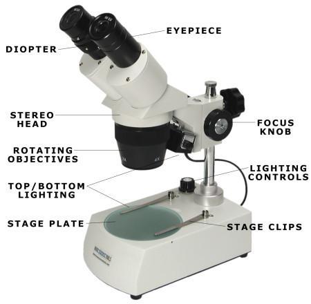 Mikroskop untuk Laboratorium - Image 4