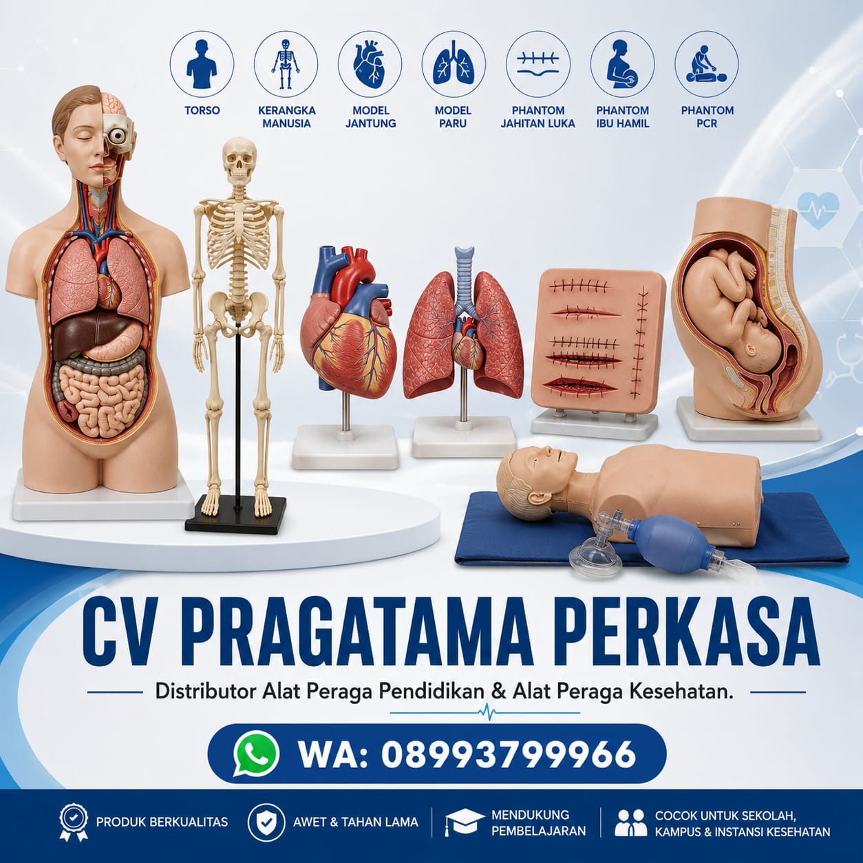 Produsen, Toko, & Distributor Alat Peraga Pendidikan & Alat Peraga Kesehatan Sorong, Papua Barat Daya 